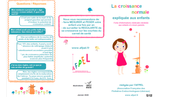 fiche